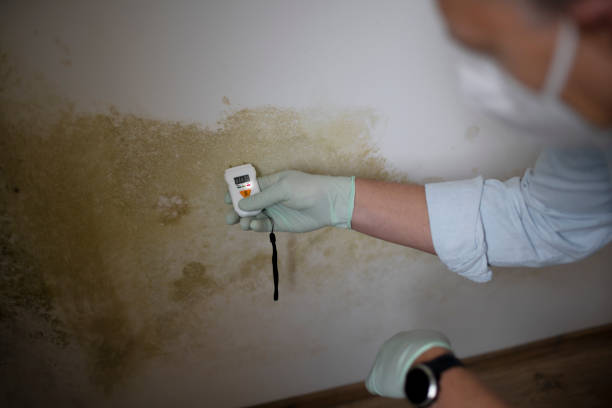 Best Mold Testing  in Pawcatuck, CT
