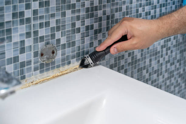 Best Black Mold Removal  in Pawcatuck, CT