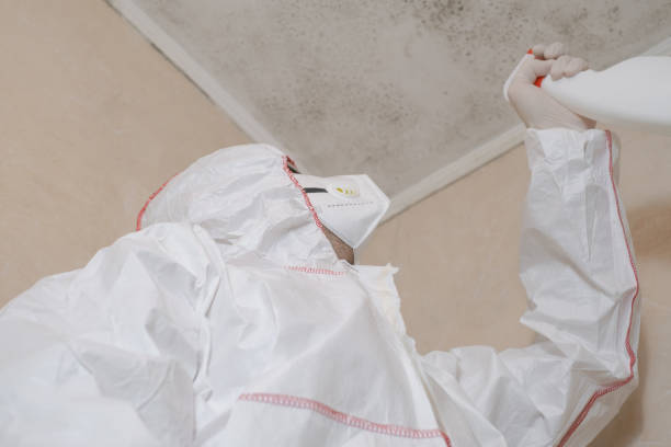Best Commercial Mold Removal  in Pawcatuck, CT
