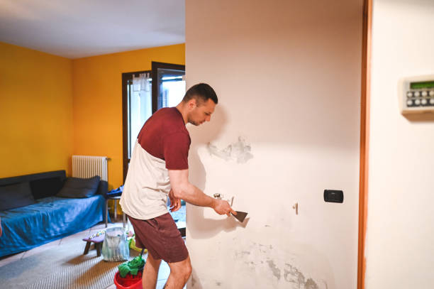 Best Office Mold Removal Services  in Pawcatuck, CT